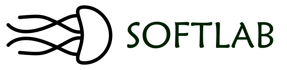 Laboratory for Soft Machines